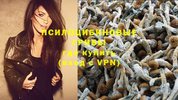 прущие грибы Балахна