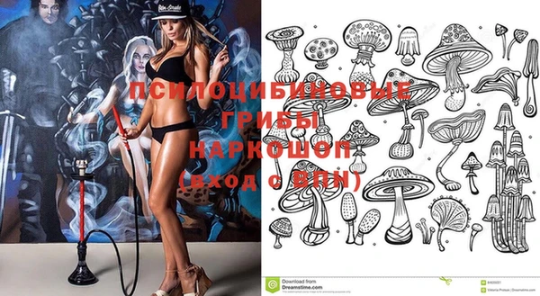 прущие грибы Балахна
