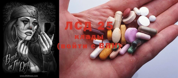 прущие грибы Балахна