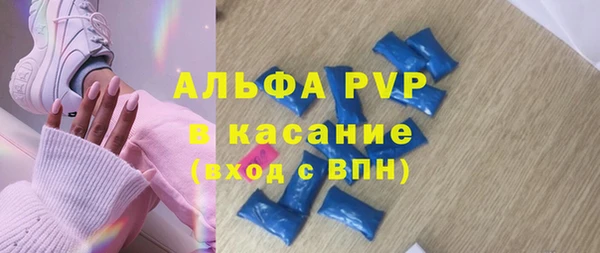прущие грибы Балахна