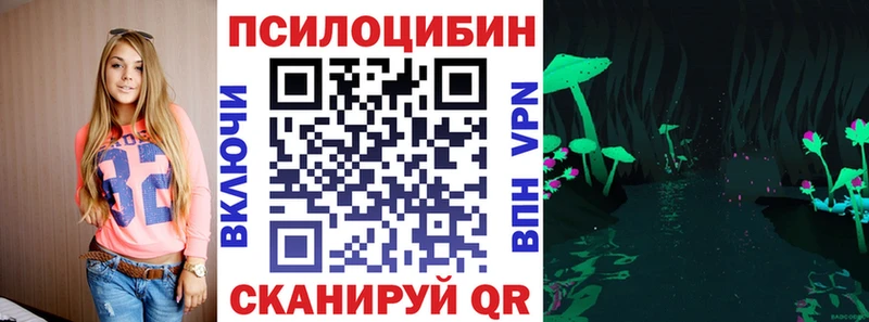 Галлюциногенные грибы Psilocybe  Куртамыш 
